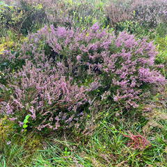 23-09-13 13-55-01 6835